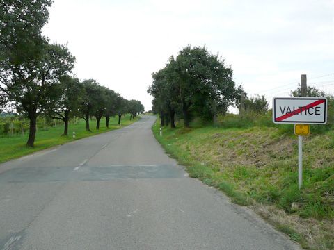 Foto 50